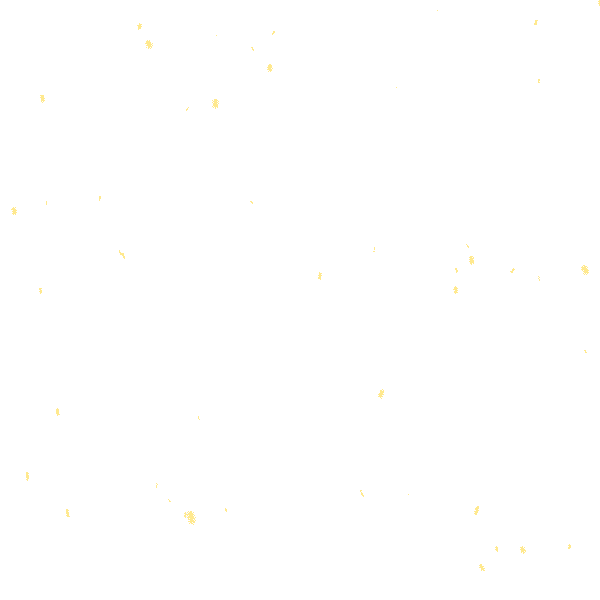 星空娱乐科技春节放假通知_公司动态_网站建设_APP开发_星空娱乐科技-专注高端品牌网站建设一站式定制|杭州微信小程序开发